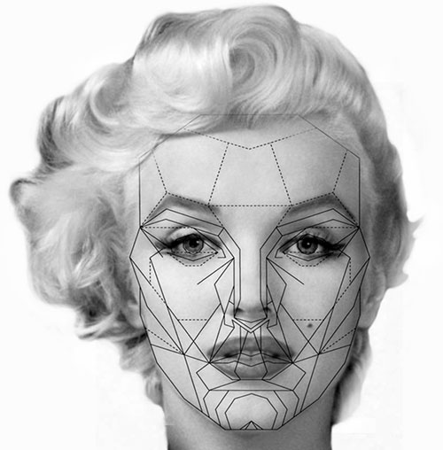 Ein Schwarz-Weiß-Foto von Marilyn Monroes Gesicht, das Schönheit darstellt.